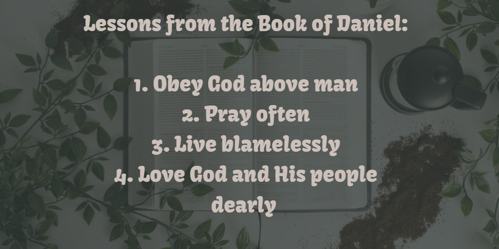 book daniel bible study
